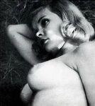 Candy Barr Nude - Telegraph